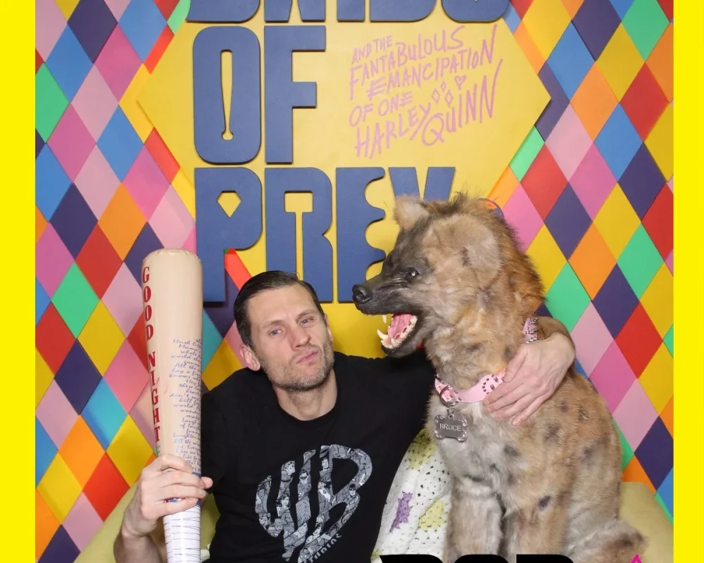 Birds of Prey _2020-02-01_20-51-11-min